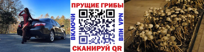 наркошоп Бобров Псилоцибиновые грибы прущие грибы